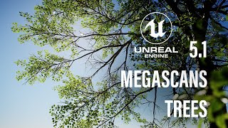 How to import the new Megascans Trees into Unreal Engine 51 with Nanite  TUTORIAL [upl. by Neelrahc]