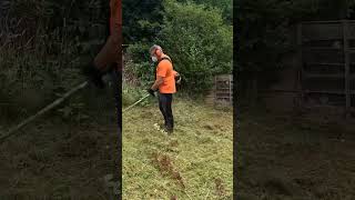 Strimming Long Grass garden weedeater satisfying [upl. by Aklim773]