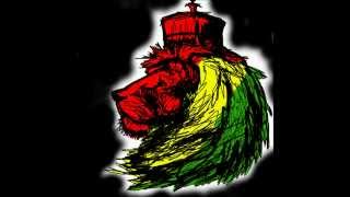 Alborosie Reggae Mix 2013 [upl. by Elleneg]