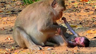 Oh My Baby Small monkey mother stops milk during weaning [upl. by Dole]