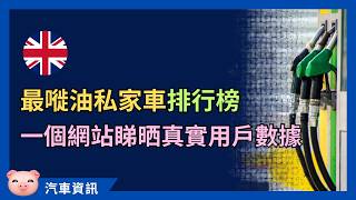 最嘥油私家車排行榜！仲有一個網站睇晒真實耗油量 英國揸車 英國買車 [upl. by Christis]