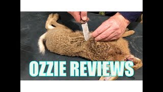 How to Skin amp Butcher a Rabbit  Hare for the Table [upl. by Hook]