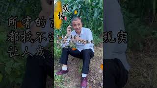 Everything is selfexplanatory Life experience Record real life Douyin new farmer [upl. by Boice]