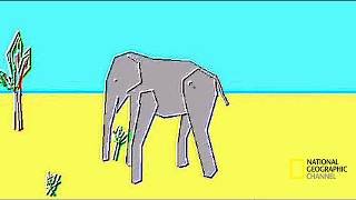 most realistic elephant programmed ever [upl. by Ronalda]