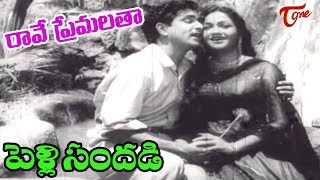 Pelli Sandadi Songs  Raave Naa Premalatha  ANR  Anjali Devi  OldSongsTelugu [upl. by Ylicis]