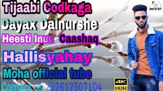 MohaTubeSubscribe Tijaabi Codkaaga Dayax Dalnurshe Heesti Inuu Caashaq Hallisyahay [upl. by Paulo]