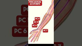 The Pericardium Meridian Acupuncture Points acupuncture [upl. by Ellertnom]