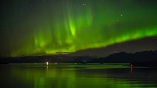 UNBELIEVABLE Northern Lights in the skies from an Alaska Cruise [upl. by Leese]