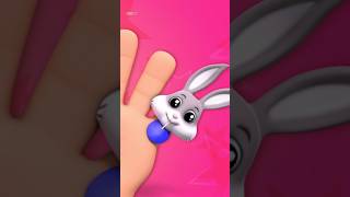 Rabbit Finger Family ytshorts trending viralvideo explore babysong kidsmusic [upl. by Gillmore]