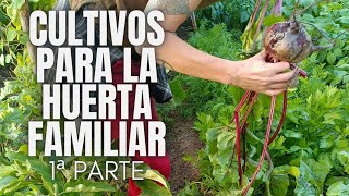 Cultivos para la huerta familiar primera parte [upl. by Aerdnaid397]