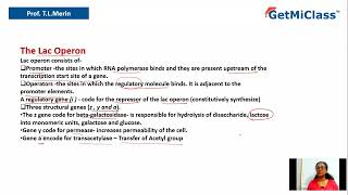 Regulation of gene expression [upl. by Dias]