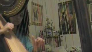 Harp cover Davy Jones  Pirates of the Caribbean [upl. by Cimbura]