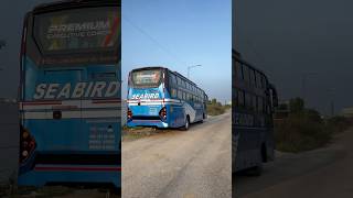 Factory Fresh  Seabird Tourist  Ashok Leyland 12M  Non AC Sleeper  Built by Damodar shorts bus [upl. by Yuk]