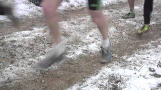 Championnat de France cross country [upl. by Le]