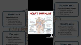 HEART ❤️ MURMURS medical reels shortsvideo [upl. by Tonye]