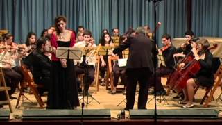 Grieg  Peer Gynt  Suite Nro1 Op46  06 Solvejgs Wiegenlied [upl. by Lalittah]