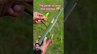 See the power of bamboo stick shot 😮👀 diy tools shorts bamboo bambooplant share virakshorts [upl. by Aicirtam557]