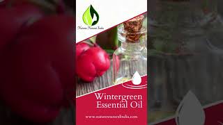 Benefits and Uses of Wintergreen Essential Oil [upl. by Ahsilad]