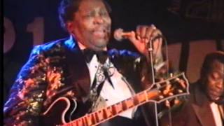 BB King Live in Hamburg 1991 [upl. by Ennaitsirk291]