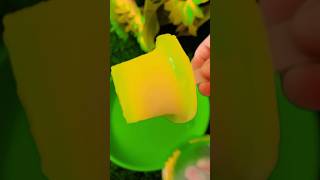 NATA DE COCO mango 🥭 🥭flavour ice cream 🍨 🍦youtubeshort viralvideo [upl. by Abdul457]