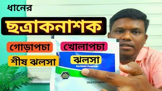 কোন রোগের জন্য কোন ছত্রাকনাশক ব্যাবহার করবেন   ছত্রাকনাশক কত প্রকারের ও কি কি জানুন। [upl. by Aneled]