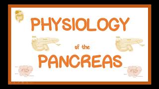 PHYSIOLOGY OF THE PANCREAS [upl. by Jillayne]