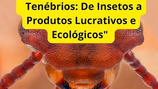 Tenébrios De Insetos a Produtos Lucrativos e Ecológicosquot [upl. by Ziom]