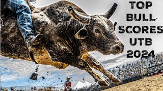 Counting Down the Top Bull Scores of the 2024 UTB Season [upl. by Serra]