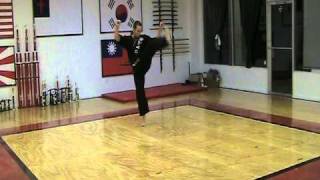 Tang Soo Do form 10 Sip Soo [upl. by Eliath]