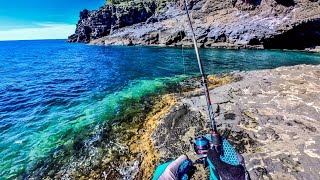 Cave Fishing amp Underwater Octopus Fishing On Remote Island [upl. by Aierdna]