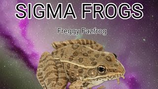 Sigma Frogs  Freggy Fazfrog [upl. by Icaj]