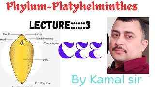 Phylum Platyhelminthes By Nepali teacher Kamal sir lecture—3 Cee Nepal [upl. by Inge]