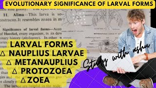 Free living larvae of invertebrates  evolutionary significance of larval forms [upl. by Aihsirt791]