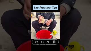 Life Hacks anyone can learn hacks shorts lifetips all2share viralvideo [upl. by Coveney]