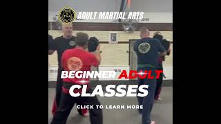 Adult Martial Arts and Self Defence Classes in Tring  Tring Martial Arts Academy [upl. by Ynove181]