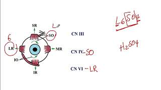 USMLE ACE Video 221 Anatomy of the Cavernous Sinus and Associated Cranial Nerve Involvement [upl. by Shayne]