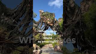 What makes Disney World so amazing disney disneyworld [upl. by Nachison729]