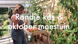 Inis Moestuin 118 Oktober rondje kas amp moestuin met allerlei tips ter voorbereiding op de winter [upl. by Retep]