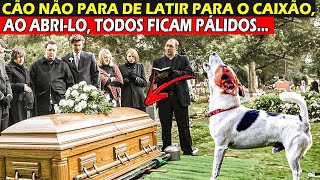 Cão Interrompe Funeral Deixando Padre Nervoso Ao Latir Para o Caixão Sem Parar [upl. by Onofredo]