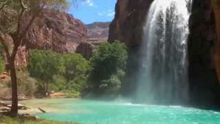 Havasu Falls Adventure [upl. by Beaulieu]