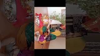 Tulsi Ji Ka Vivah🙏🎇Youtube Trending Raniaraghav Shorts [upl. by Ajad]