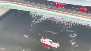 豊洲の運河での海難事故発生の様子TOKYOLIVECAMERA [upl. by Michella]