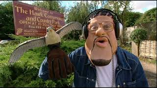 Bo Selecta S1  Craig David Visits The Hawk Conservatory [upl. by Zeb]