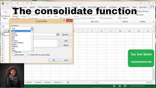 How to use the consolidate function in Excel [upl. by Mahla]