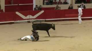 Course landaise  Alès Feria de lAscension 2012 [upl. by Corwin]