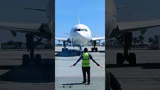 HOW TO PARK AIRBUS A330 at ST MAARTEN Airport [upl. by Esmond]