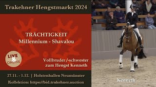 Trächtigkeit v Millennium  Shavalou [upl. by Airot911]