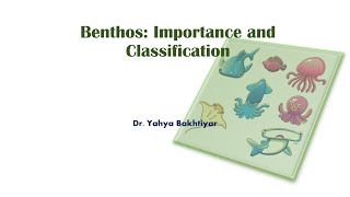 47 Benthos Importance and Classification [upl. by Johst]