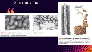 Dasardasar Mikrobiologi VIRUS [upl. by Aiker]