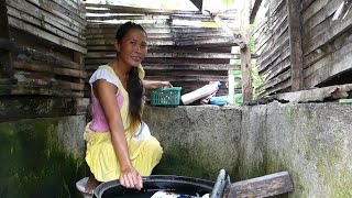 2nd outdoor pooping simple bathroom in the province pigs noice [upl. by Ollie]